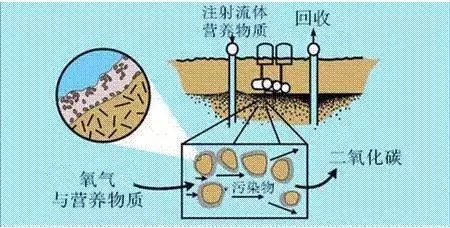 土壤微生物修復技術