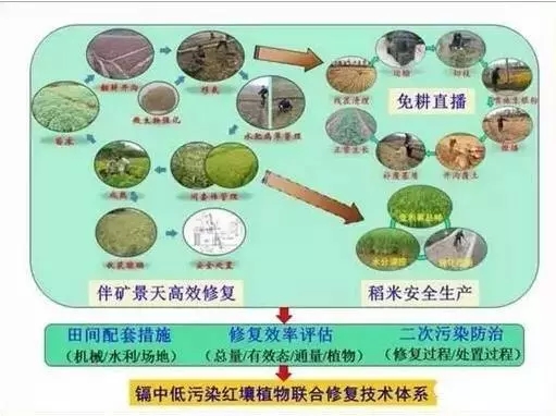 土壤微生物修復技術